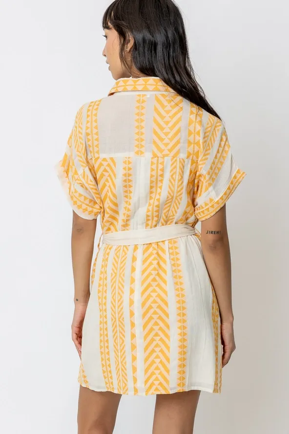 Lemon Drop Embroidered Mini Dress